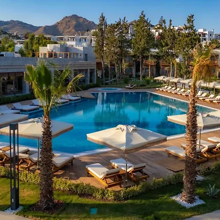 Suum & - Adult Only Hotel