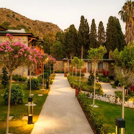 Suum & - Adult Only *