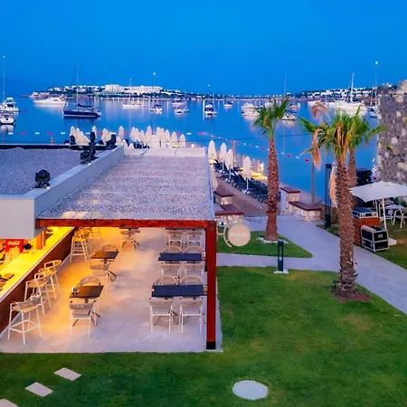 Suum & - Adult Only *