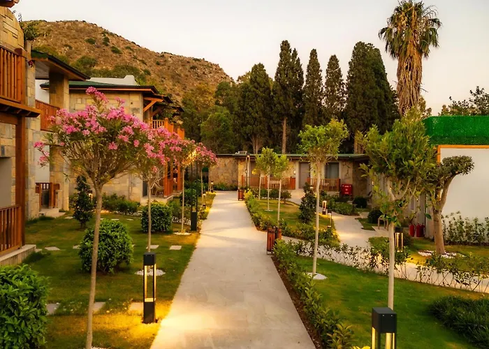 Suum & - Adult Only *