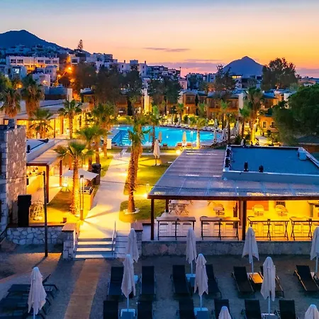 Suum & - Adult Only *