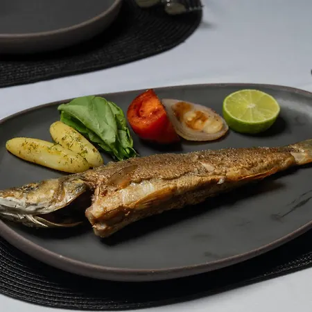 Hotel Suum & - Adult Only Bodrum