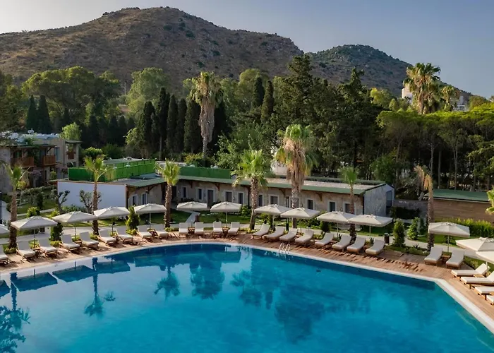 Suum & - Adult Only *