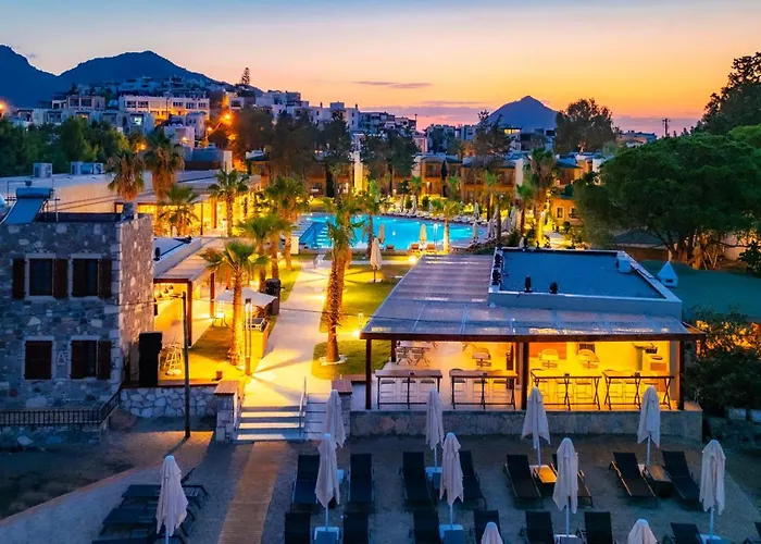 Suum & - Adult Only *