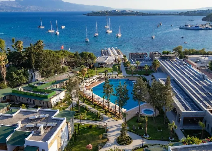 Suum & - Adult Only *