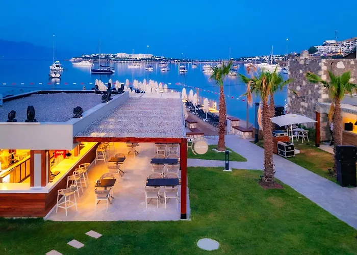 Suum & - Adult Only *